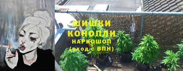 дживик Зеленодольск
