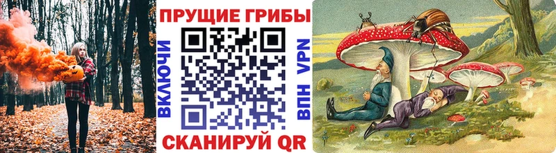 наркошоп Красноярск Галлюциногенные грибы мицелий